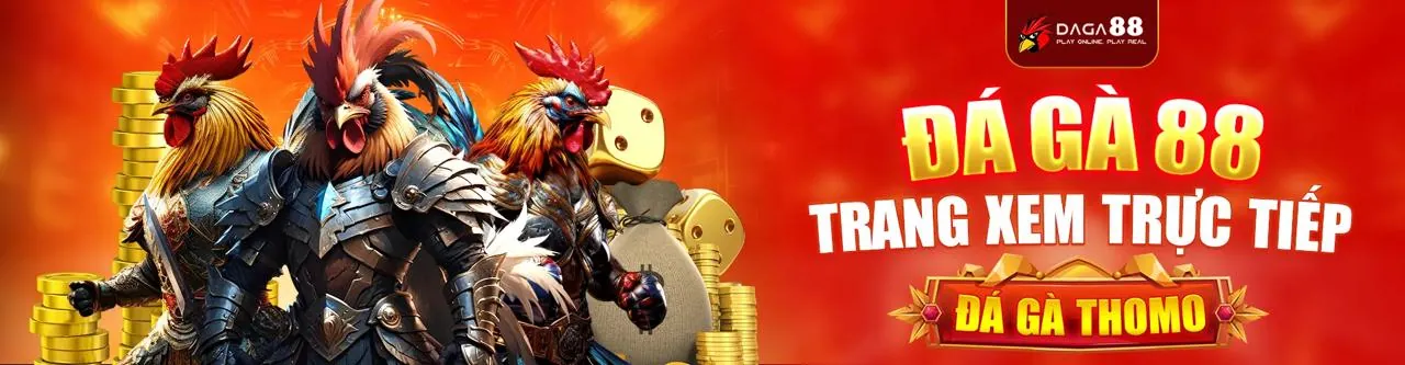 Hướng dẫn cá cược trực tuyến an toàn tại kuwin nhà cái